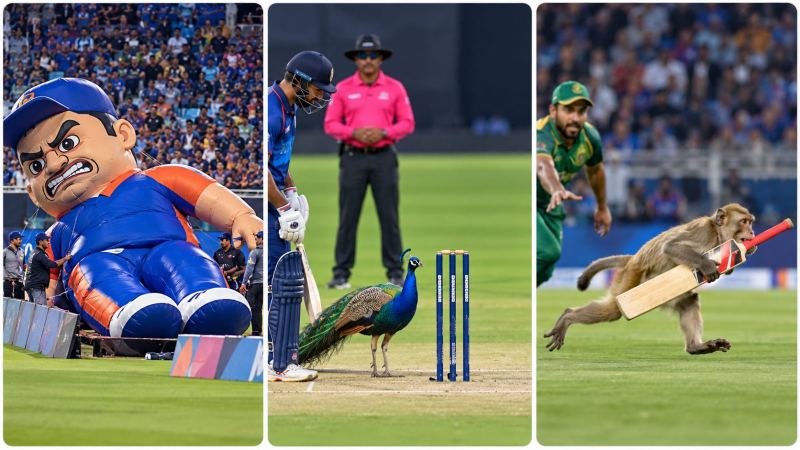 HYPER-REAL SURREAL CRICKET BROADCAST INTERRUPTION ENGINE